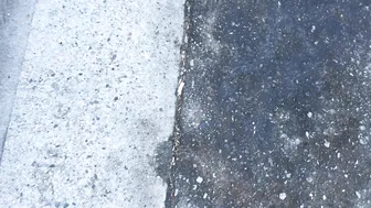 adriana maya Heifers with