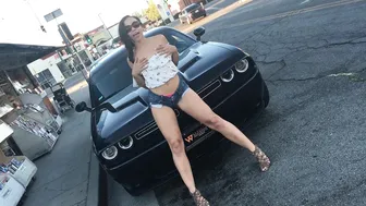 adriana maya Heifers with