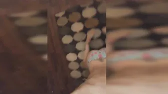 veronica paige gorgeous girl masturbates cunt