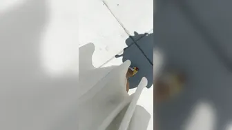 carrie lachance young slut gets naked before boobs