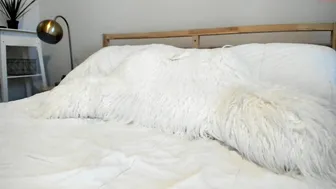 texasthicc graceful stands cancer and gets fucked