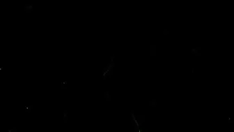 fiorafierce myfreecams January 2020