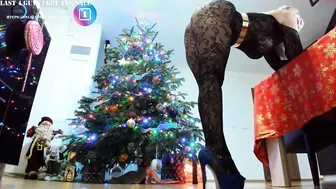 miss_elena courtesan takes off her tights, showing charms