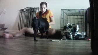 aidra fox onlyfans a little luna play time today