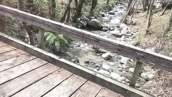 stormi maya onlyfans walking in the woods no bra club