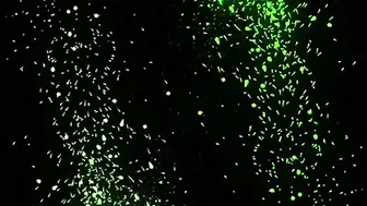 julie cash onlyfans let me twerk it on you dadddyyyy