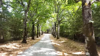 slinky-adv onlyfans_46