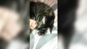 stormi maya onlyfans landed in cali . here␙s my air b n b roomate lol