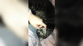 stormi maya onlyfans landed in cali . here␙s my air b n b roomate lol