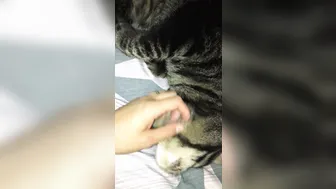 stormi maya onlyfans landed in cali . here␙s my air b n b roomate lol