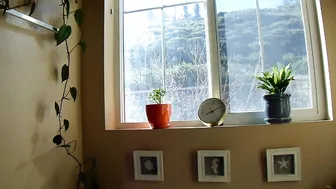 nicole aniston onlyfans_16