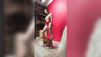 missflowerbomb onlyfans the video u been requesting it␙s back i fixed it