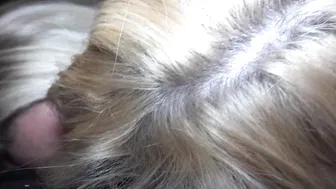 jenny j onlyfans naughty alysha and i suck cumartist's cock till it explodes all over us (1)