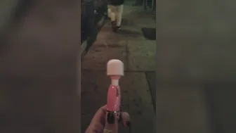 mandy muse onlyfans mini vibrator cam