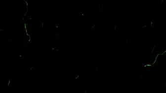 fiorafierce-playing-with-my-new-toy-teaser-2020-01-07_JMr9jO