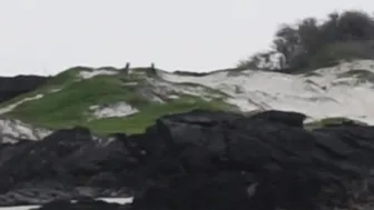 Haley420 -Public BJ On The Beach