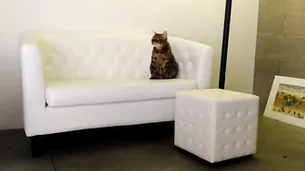 jayne420 affectionate privatik