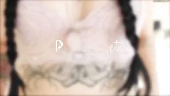 ZiaFox  -21 - Pretty Pet