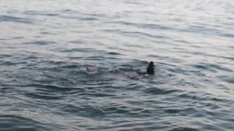 PureLatex OnlyFans  -purelatex-2018-08-24-wqP0n1y5Dc7xRTFBQSn1cv1VQaIcc2zu