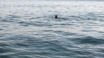 PureLatex OnlyFans  -purelatex-2018-08-24-wqP0n1y5Dc7xRTFBQSn1cv1VQaIcc2zu