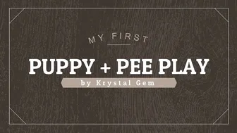 krystal gem my 1st puppy p-- play