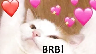 mississanta 7032020 701_female_chaturbate