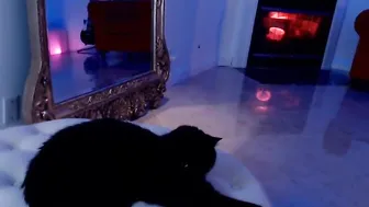 alexis beautiful bitch is banging with sex machine