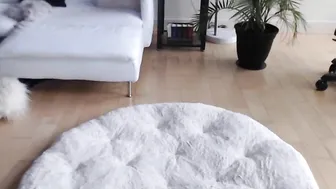 lilliecat fascinating courtesan pretty ass fucks sex toy