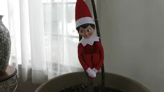 Maria Moore manyvids beauty sucks penis