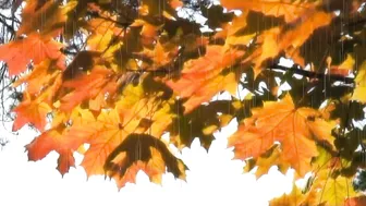 LIUDMILA manyvids nude cutie shows juicy charms