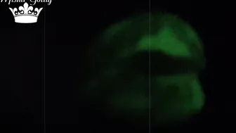 Mistress Misha Goldy manyvids hot  private  in cold new year's eve