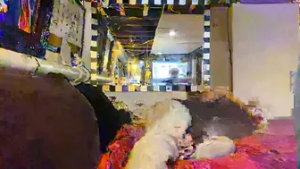 jaxxxs2828 Cute woman