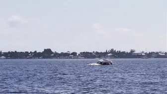 Miss Ellie domestic doll will set you free with light striptease