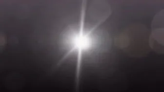 diane andrews  intolerable rubbish