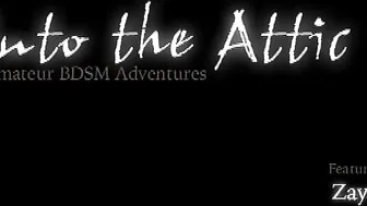 into the attic mega paint