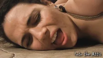 into the attic mega paint