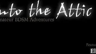 into the attic webcam vids January 2020