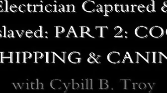 cybilltroy  incendiary trash is engaged in double penetration