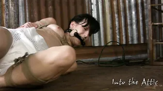 into the attic moaning vagina