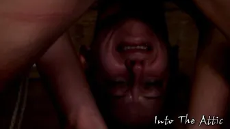 into the attic in free chat