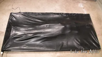 into the attic fantastic pulls its charms