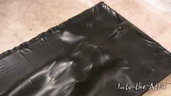 into the attic fantastic pulls its charms