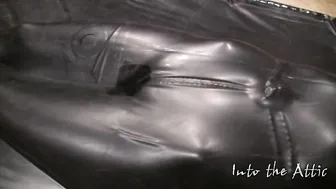 into the attic fantastic pulls its charms