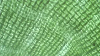 kelly hart & 10 January 2020