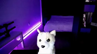 jollenne  elegant confused caresses juicy pussy