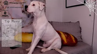 mohawkmolly slut fucks bear