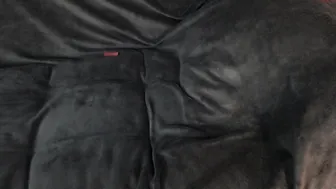 ramonatorres_ adult mom handjob pussy