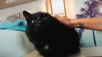 amyvalentine a bitch eating a banana