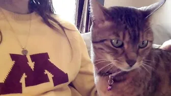 lala_nibbles 7.04.2020 623_female chaturbate