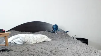 college_girl_ 0.03.2020 600_female chaturbate